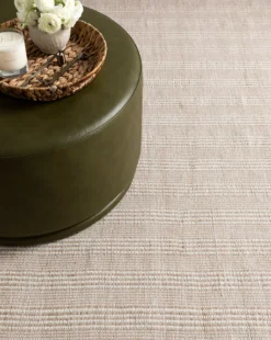 Baker Indoor/Outdoor Rug -Decoration Series Store 20230309 SS Rug 001 T