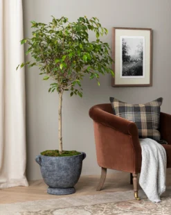 Esma Gray Fringed Throw -Decoration Series Store 20230608 SS FallCatalogue 006 T