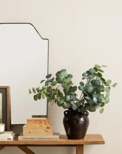 Burl Wood Box -Decoration Series Store 20231205 SS Decor Greenery 015 T