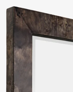 Alexia Rectangular Mirror -Decoration Series Store AlexiaRectangularMirror MMIR0341 AGY 30x40 D2 T