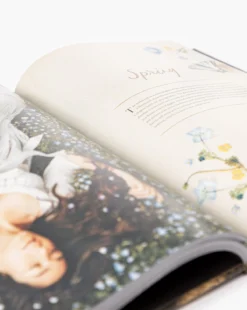 An American In Provence -Decoration Series Store AnAmericaninProvence MDCR2634 MLT OS D2