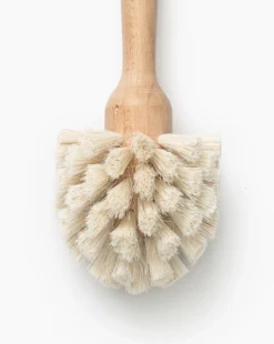 Beech Wood Dish Brush -Decoration Series Store BeechWoodDishBrush MKTN0961 NAT OS D1