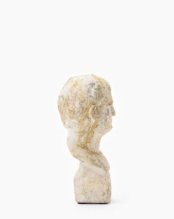 Cement Head Sculpture -Decoration Series Store CementHeadSculpture MDCR1905 WDN OS D2