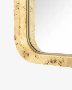 Clarissa Burl Mirror -Decoration Series Store ClarissaBurlMirror MMIR0337 BRL S D2 T