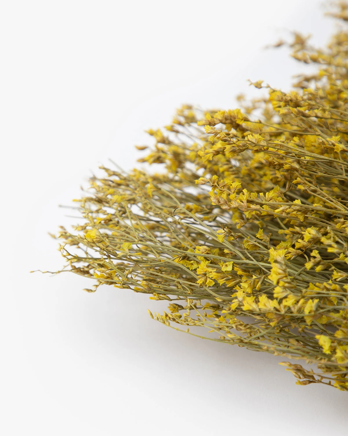 Dried Natural Pearl Grass Bunch 2 Dried Natural Pearl Grass Bunch - Image 2