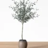Faux 72" Olive Tree With Ceramic Pot