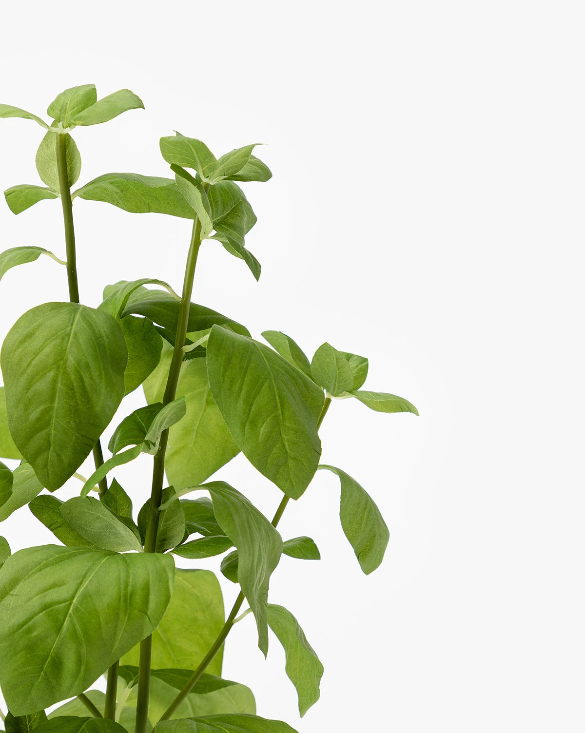 Faux Basil Drop-In 4 Faux Basil Drop-In - Image 4