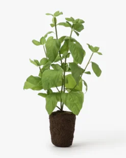 Faux Basil Drop-In 6 Faux Basil Drop-In -Decoration Series Store FauxBasilDrop In MDCR0029 GRN L