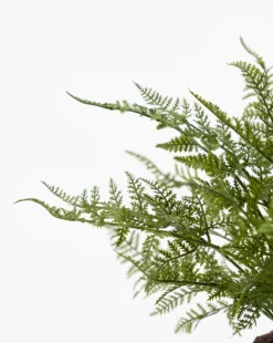 Faux Fern Drop-In -Decoration Series Store FauxFernDrop In MDCR0186 GRN D1