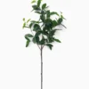 Faux Laurel Leaf Branch