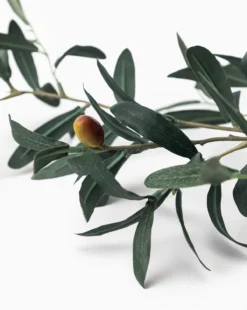 Faux Olive 36" Branch -Decoration Series Store FauxOlive36Branch MDCR2727 GRN OS D1 T