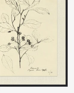 Floral Study 2 -Decoration Series Store FloralStudy2 D1