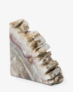Fossilized Wood Bookends (Set Of 2) -Decoration Series Store FossilizedWoodBookends MDCR2586 NAT OS D2