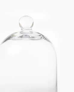 Glass Cloche 5 Glass Cloche -Decoration Series Store GlassCloche MDCR1876 GLS OS D1