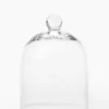 Glass Cloche