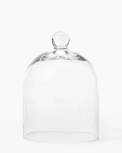 Glass Cloche