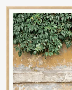 Growth 5 Growth -Decoration Series Store Growth MART1405 GRN 43x29 F D1