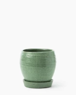 Jaycee Green Pot -Decoration Series Store JayceeGreenPot MDCR2834 GRN L MAIN T