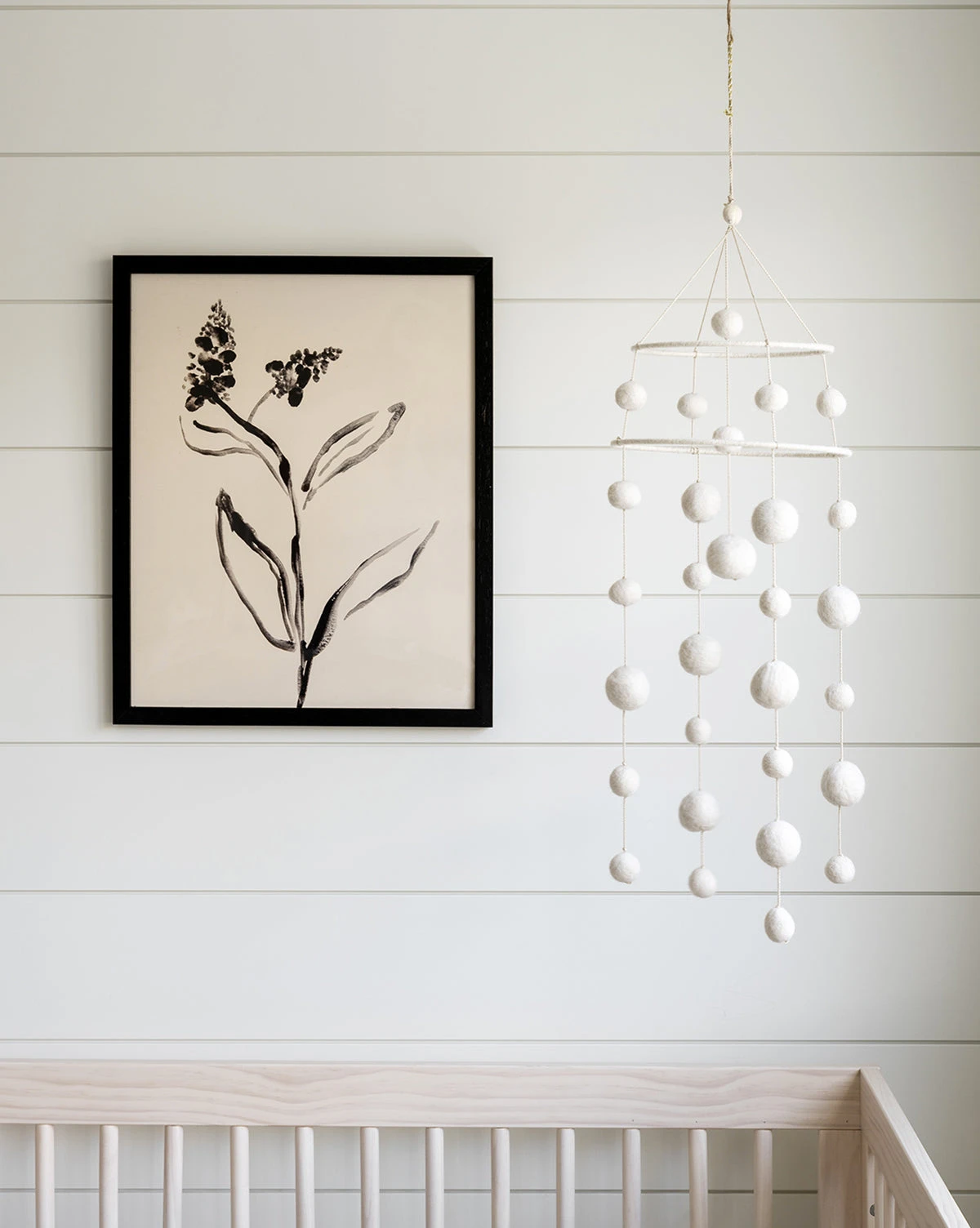 Grape Hyacinth 2 Grape Hyacinth - Image 2