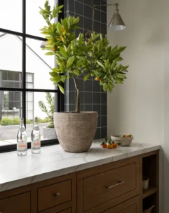 Textured Concrete Pot -Decoration Series Store Mishurda Batch4 8