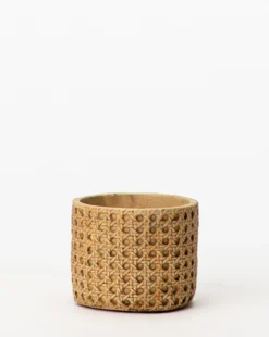 Natural Cement Planter (Set Of 2) -Decoration Series Store NaturalCementPlanter Setof2 3