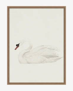 Neutral Swan