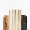 Petrified Wood Bookends (Set Of 2)