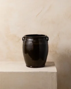 Vintage Black Dual Handled Jar