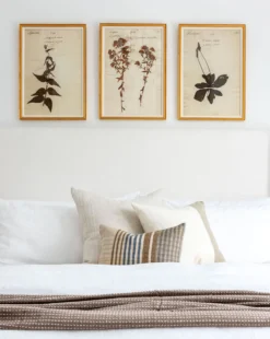 Margaret Stripe Pillow Cover -Decoration Series Store beck pines5 final12 f7e5e14f 8af6 421d bc47 c3d3488faaa0