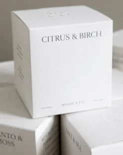 Citrus & Birch Candle -Decoration Series Store fragrance templated 8